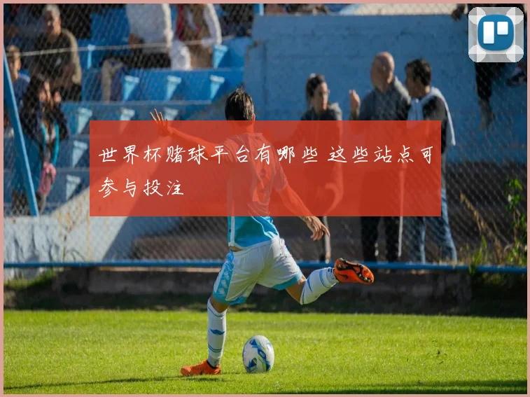 世界杯赌球平台有哪些 这些站点可参与投注