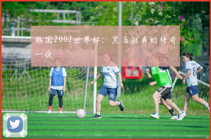 韩国2002世界杯：黑马狂奔的传奇一夜