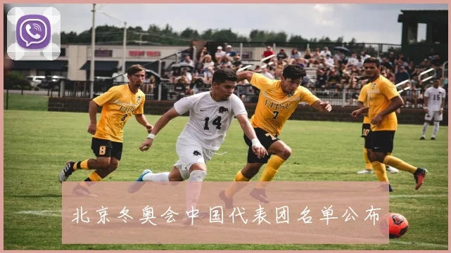 北京冬奥会中国代表团名单公布