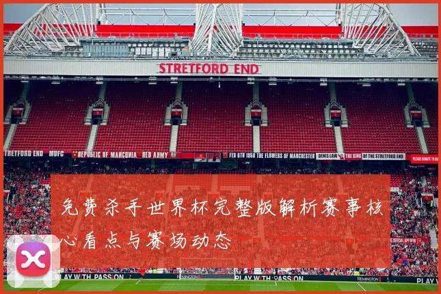 免费杀手世界杯完整版解析赛事核心看点与赛场动态