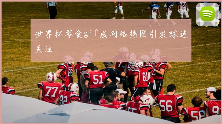 世界杯零食gif成网络热图引发球迷关注