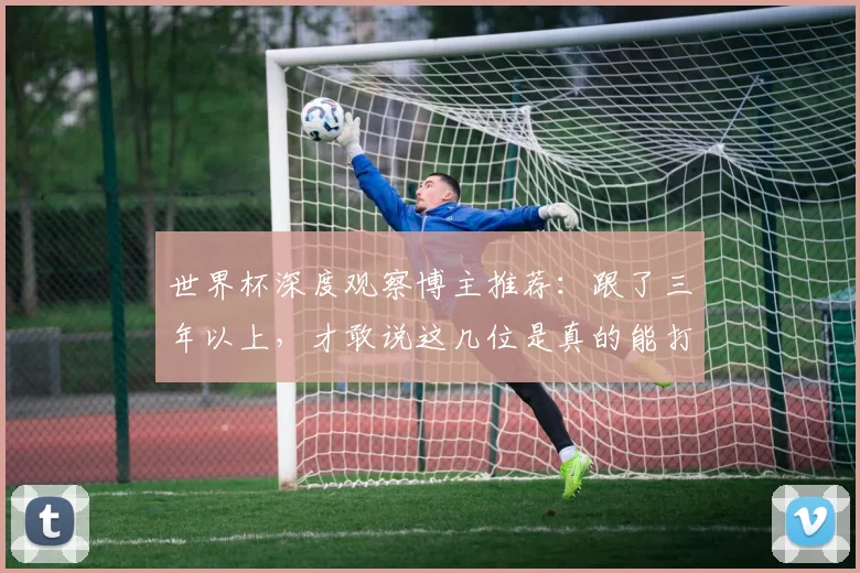 世界杯深度观察博主推荐：跟了三年以上，才敢说这几位是真的能打_分析_情报网络_教练