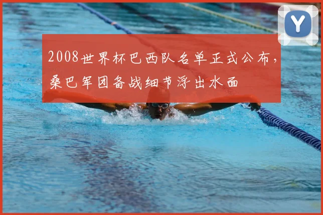2008世界杯巴西队名单正式公布,桑巴军团备战细节浮出水面
