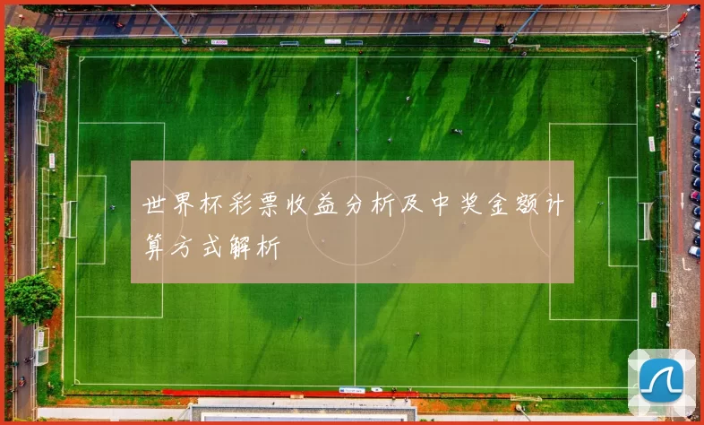 世界杯彩票收益分析及中奖金额计算方式解析